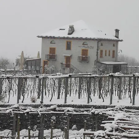 Fattoria L'amorosa