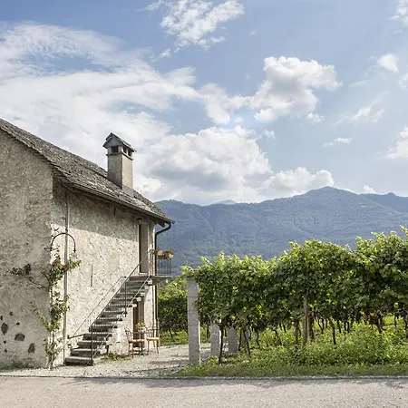 ホテル Fattoria L'amorosa