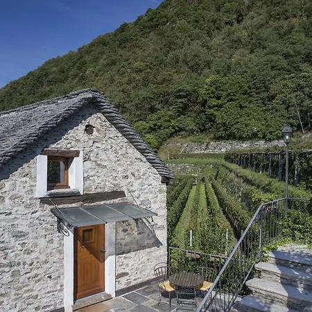 Fattoria L'amorosa Sementina