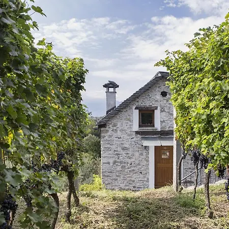 Fattoria L'amorosa ホテル