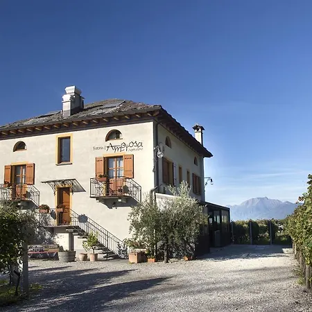 Fattoria L'amorosa 3* Sementina