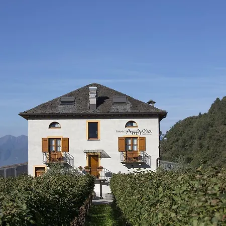 Fattoria L'amorosa Sementina