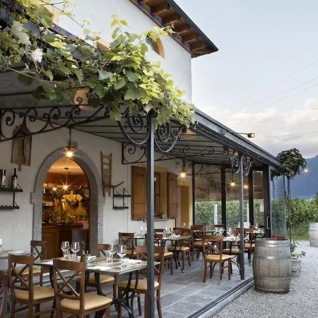 Fattoria L'amorosa Sementina