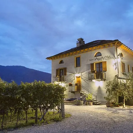 Fattoria L'amorosa 3*