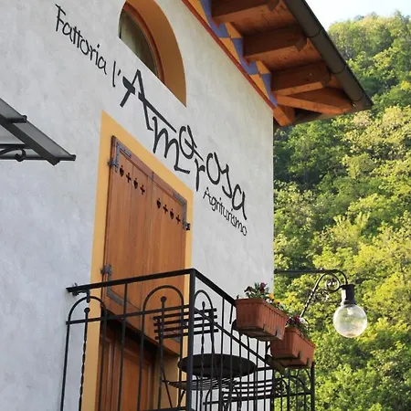 Fattoria L'amorosa 3* Sementina