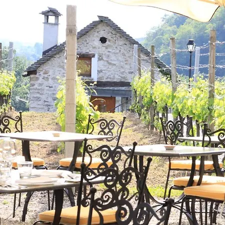 Fattoria L'amorosa Sementina