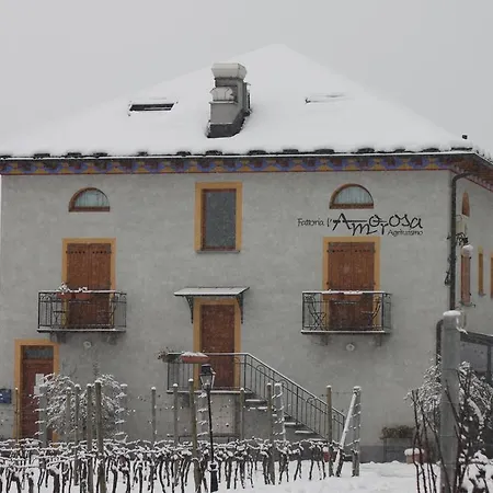 Hotel Fattoria L'amorosa Sementina