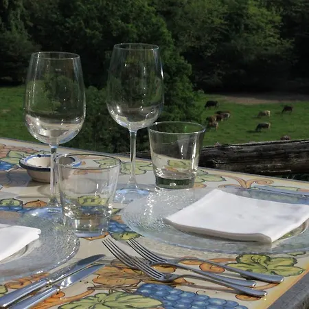 Fattoria L'amorosa 3* Sementina