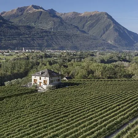 Fattoria L'amorosa