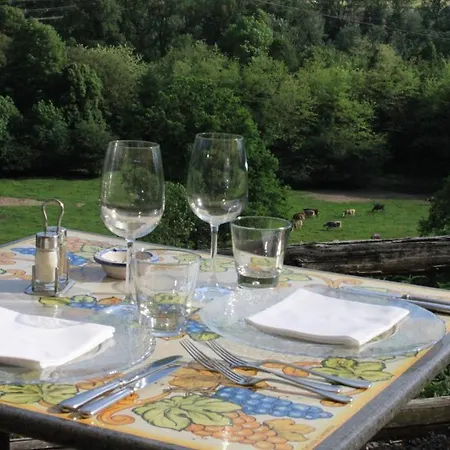 Fattoria L'amorosa 3* Sementina